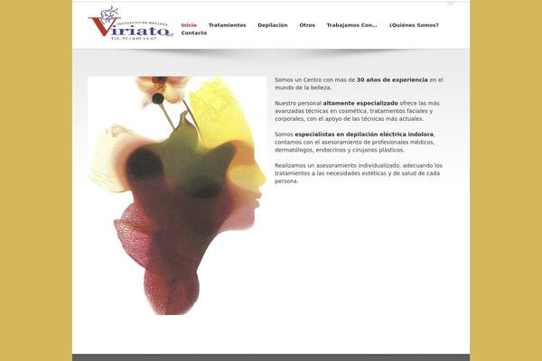 trusted102 theme websites examples