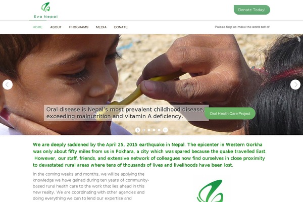 DonateNow theme site design template sample