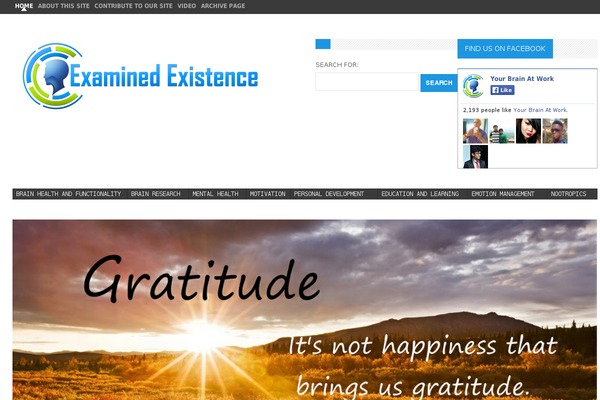 Genesis theme site design template sample