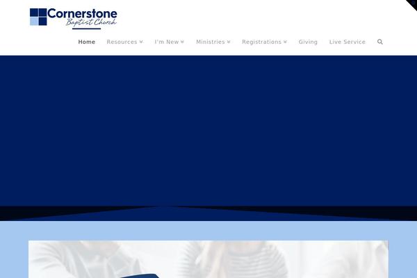 Pro theme site design template sample