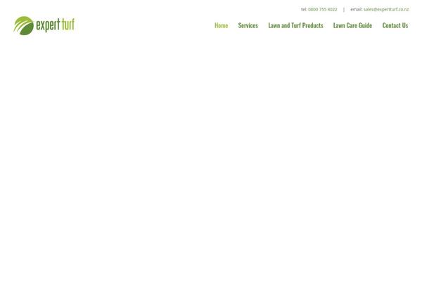 Bridge Child theme site design template sample