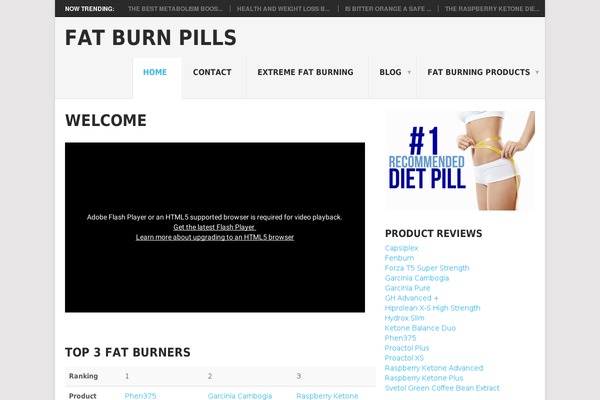 Point theme site design template sample