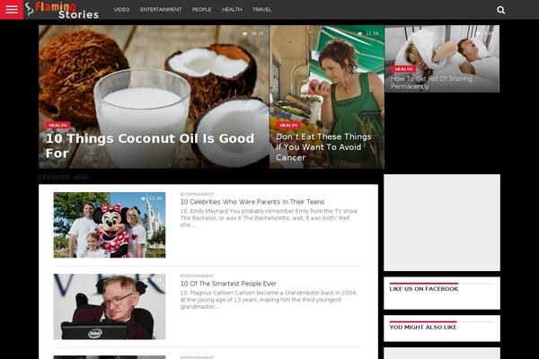 Flex Mag theme site design template sample