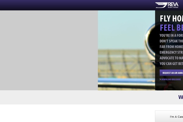Pro theme site design template sample