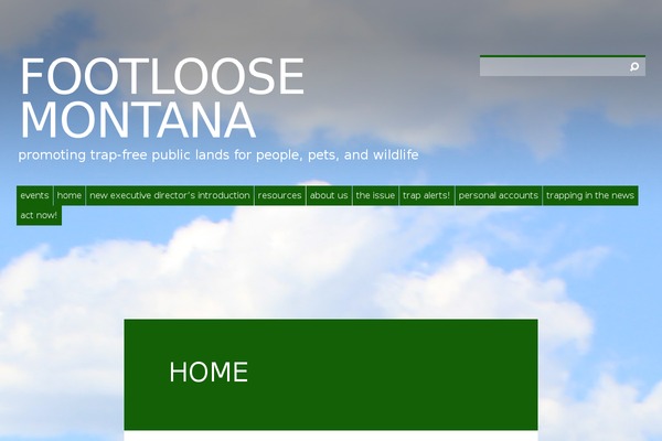 MN Flow theme site design template sample
