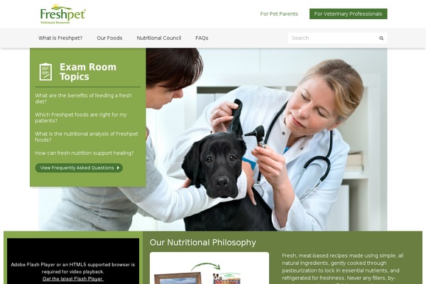 Twenty Thirteen theme site design template sample