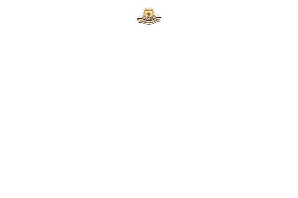Bridge Child theme site design template sample