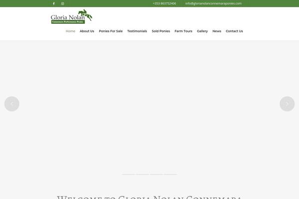 Salient Child theme site design template sample