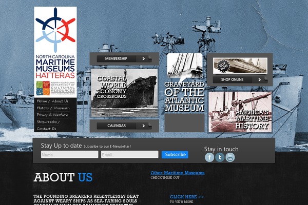 Site using Official-facebook-pixel plugin