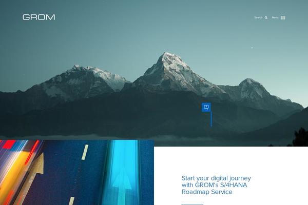 Site using Gravityforms plugin