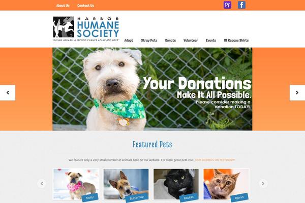 Enfold-child theme site design template sample