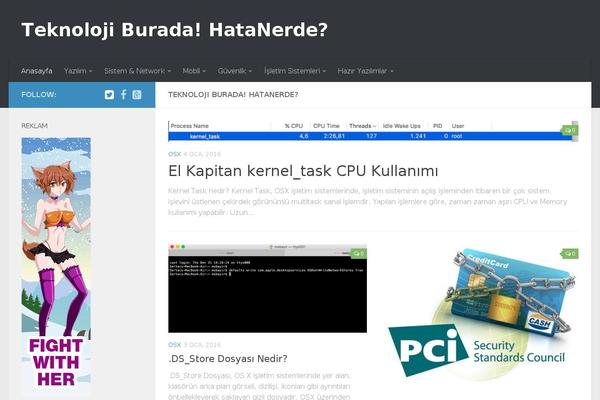 Site using All in One SEO Pack plugin