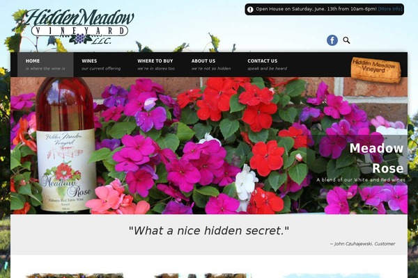Site using Better WordPress Minify plugin