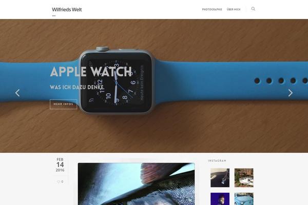 Salient theme site design template sample