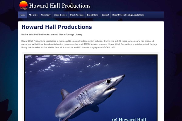 Responsive theme site design template sample