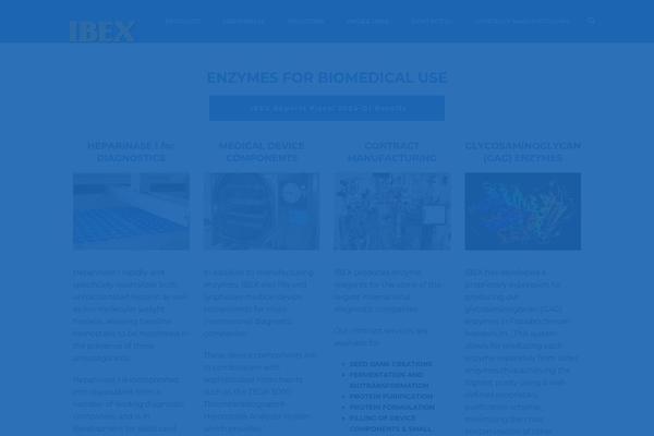 Jupiter Child theme site design template sample