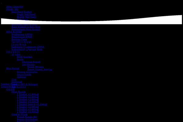 Site using Perfmatters plugin