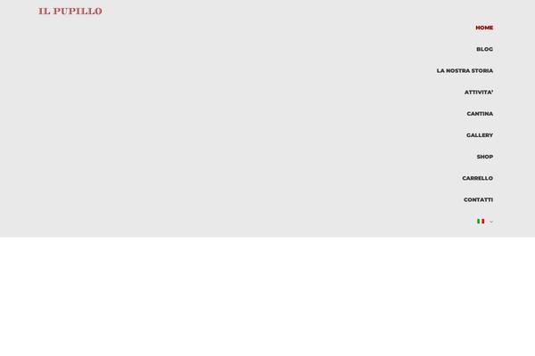 Site using Elementor-pro plugin