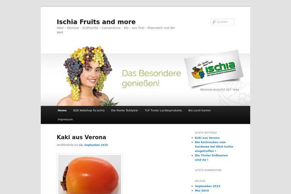 Twenty Eleven theme site design template sample