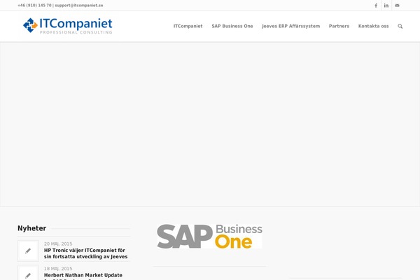 Enfold theme site design template sample