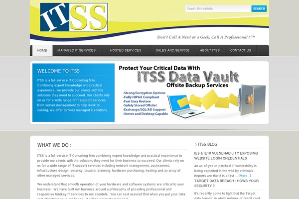 Enterprise theme site design template sample