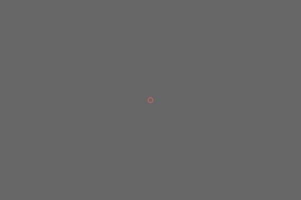 Site using Instagram Feed plugin