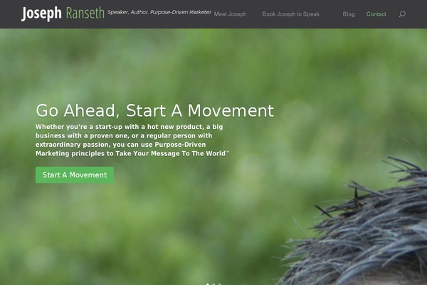 Site using Tenweb-speed-optimizer plugin