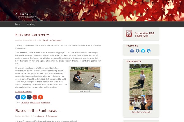 Site using FancyBox for WordPress plugin