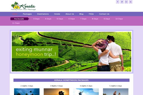 Site using Lightweight Social Icons plugin
