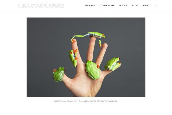 Jupiter Child theme site design template sample