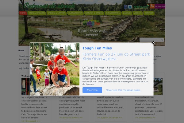 Site using Category Posts Widget plugin