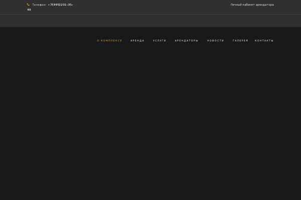 Site using Autoptimize plugin
