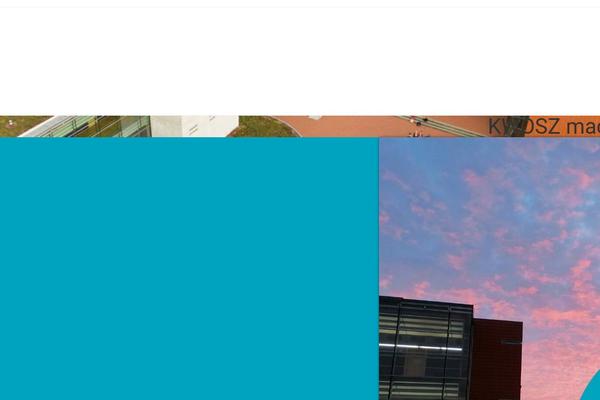 Site using Elementor-pro plugin