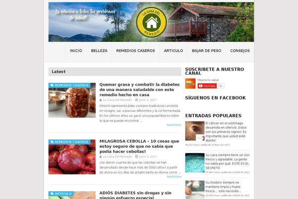 Point theme site design template sample