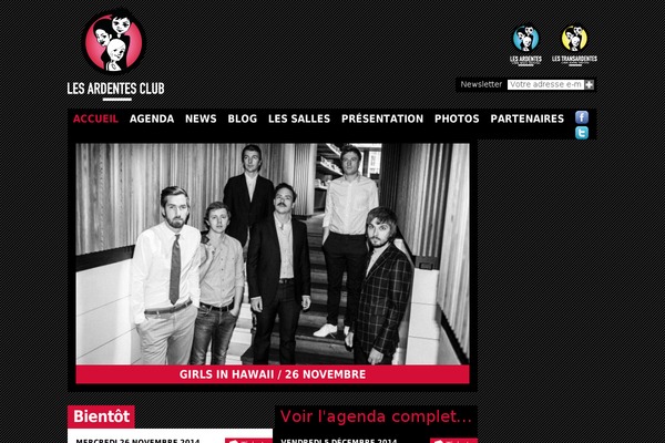 Site using Accordion-Wp plugin