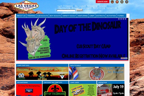 Site using Cherry-socialize plugin