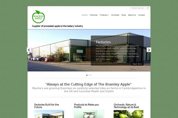 Chameleon theme site design template sample