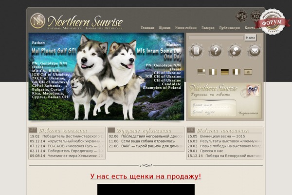 Site using Meteor Slides plugin