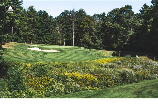 Site using Golfnow-customize plugin