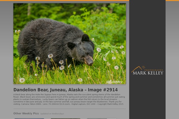 Jump Start theme site design template sample