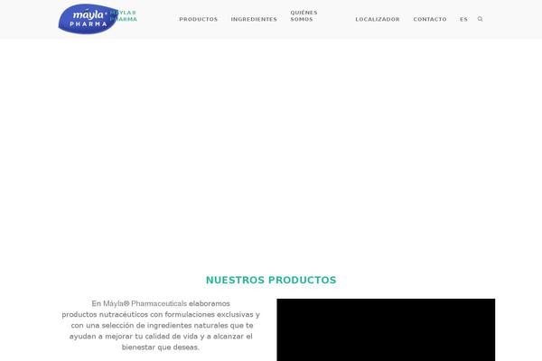 Bridge Child theme site design template sample