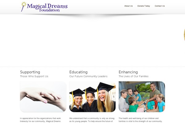 DonateNow theme site design template sample