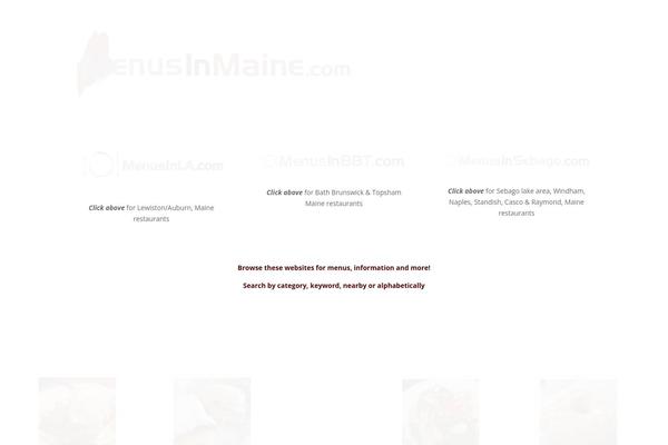 Divi Child theme site design template sample