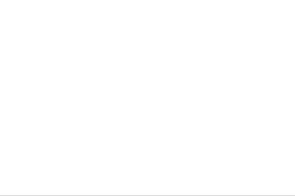 Site using Borderless plugin