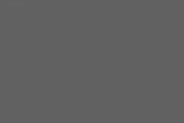 Salient theme site design template sample
