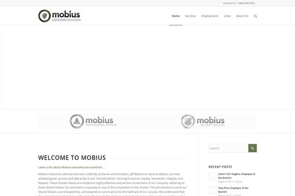Enfold theme site design template sample