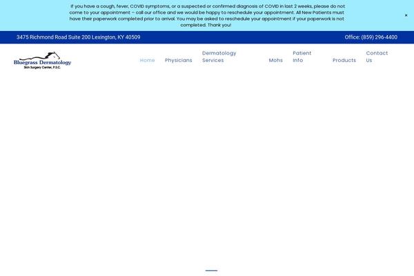 Bridge Child theme site design template sample