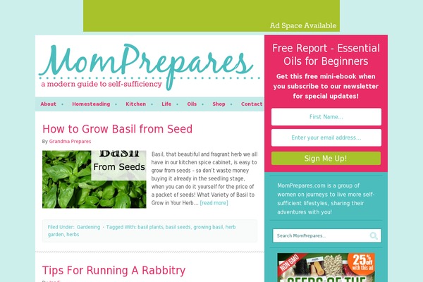 momprepares.com site used Genesis