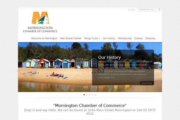 Chameleon theme site design template sample