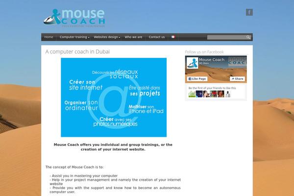 Site using Chaty plugin